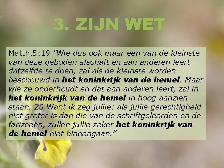 3. ZIJN WET Matth. 5: 19 ”Wie dus ook maar een van de kleinste