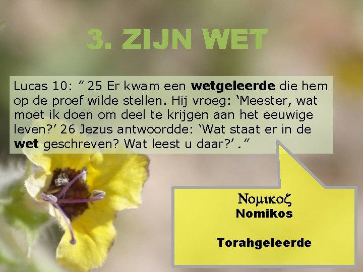 3. ZIJN WET Lucas 10: ” 25 Er kwam een wetgeleerde die hem op