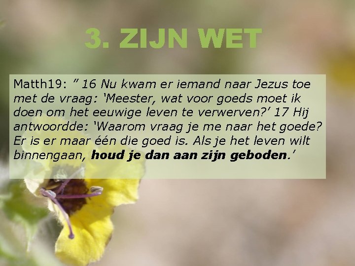 3. ZIJN WET Matth 19: ” 16 Nu kwam er iemand naar Jezus toe