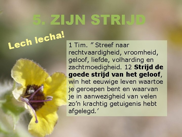 5. ZIJN STRIJD h c e L ! a h lec 1 Tim. ”