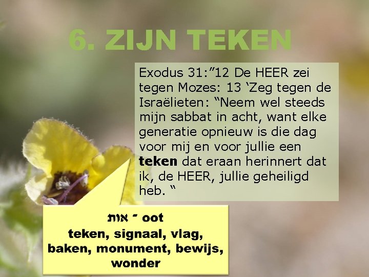 6. ZIJN TEKEN Exodus 31: ” 12 De HEER zei tegen Mozes: 13 ‘Zeg