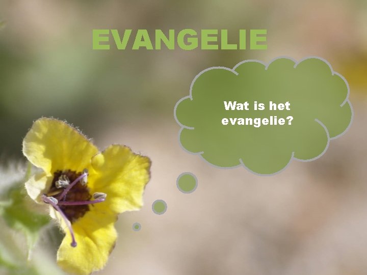 EVANGELIE Wat is het evangelie? 