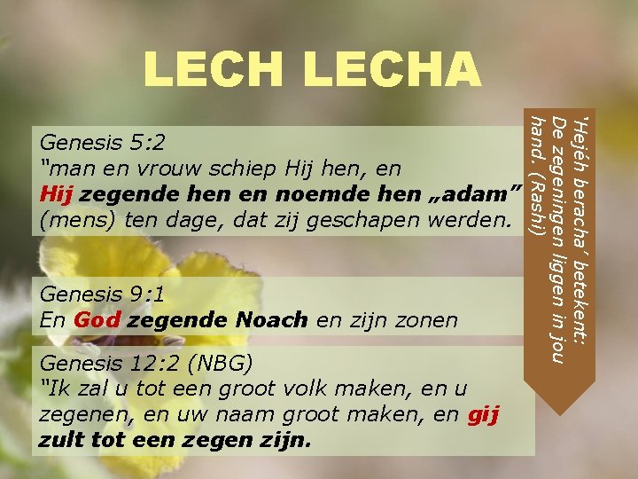 LECHA Genesis 9: 1 En God zegende Noach en zijn zonen Genesis 12: 2