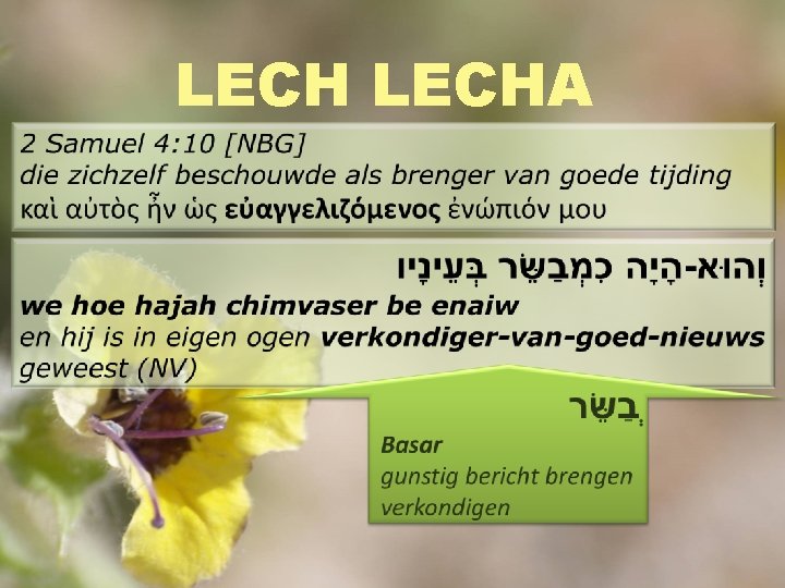 LECHA 