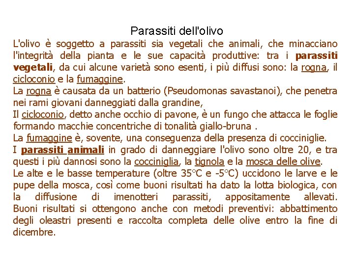 Parassiti dell'olivo L'olivo è soggetto a parassiti sia vegetali che animali, che minacciano l'integrità