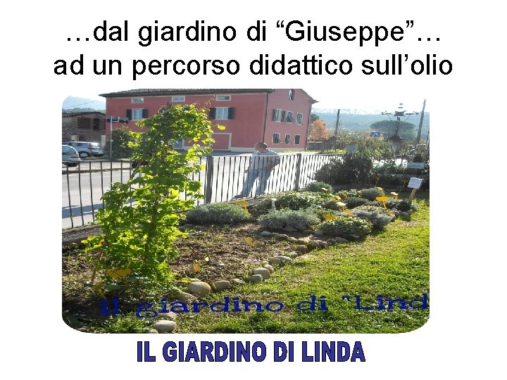 …dal giardino di “Giuseppe”… ad un percorso didattico sull’olio 