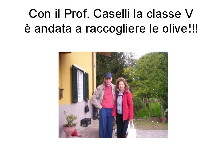 Con il Prof. Caselli la classe V è andata a raccogliere le olive!!! 