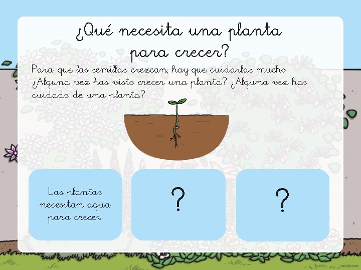 ¿Qué necesita una planta para crecer? Para que las semillas crezcan, hay que cuidarlas