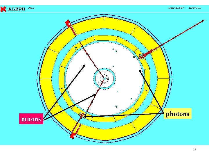 muons photons 13 