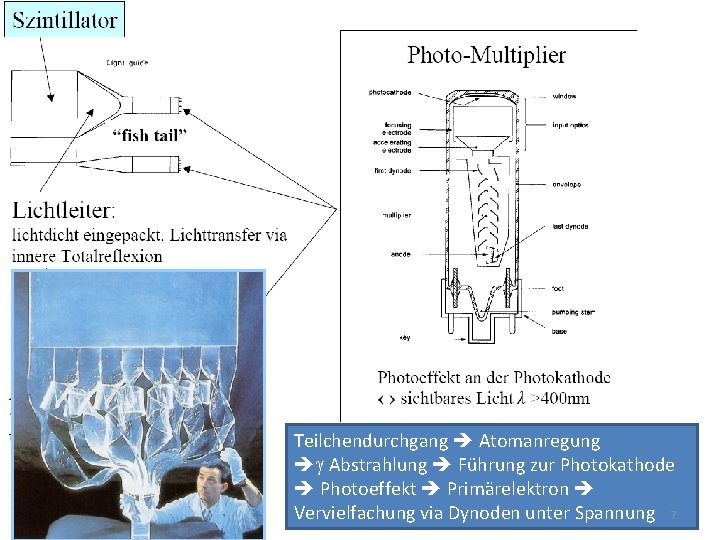 Teilchendurchgang Atomanregung g Abstrahlung Führung zur Photokathode Photoeffekt Primärelektron Vervielfachung via Dynoden unter Spannung