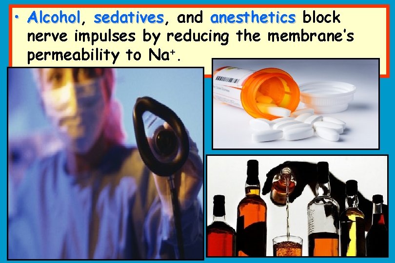  • Alcohol, Alcohol sedatives, sedatives and anesthetics block nerve impulses by reducing the