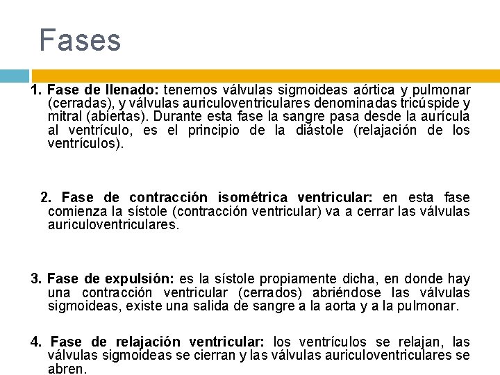 Fases 1. Fase de llenado: tenemos válvulas sigmoideas aórtica y pulmonar (cerradas), y válvulas