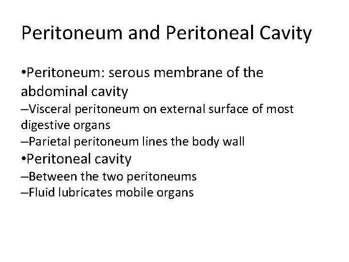 Peritoneum and Peritoneal Cavity • Peritoneum: serous membrane of the abdominal cavity –Visceral peritoneum Peritoneum and Peritoneal Cavity • Peritoneum: serous membrane of the abdominal cavity –Visceral peritoneum