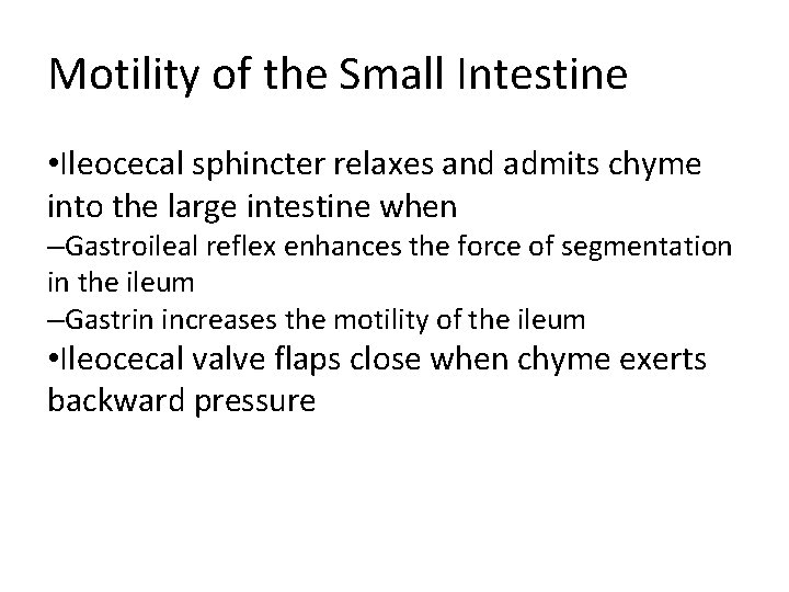 Motility of the Small Intestine • Ileocecal sphincter relaxes and admits chyme into the Motility of the Small Intestine • Ileocecal sphincter relaxes and admits chyme into the