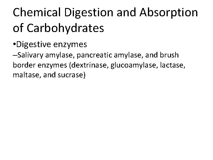 Chemical Digestion and Absorption of Carbohydrates • Digestive enzymes –Salivary amylase, pancreatic amylase, and Chemical Digestion and Absorption of Carbohydrates • Digestive enzymes –Salivary amylase, pancreatic amylase, and