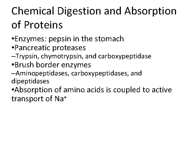 Chemical Digestion and Absorption of Proteins • Enzymes: pepsin in the stomach • Pancreatic Chemical Digestion and Absorption of Proteins • Enzymes: pepsin in the stomach • Pancreatic