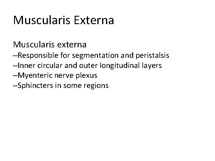 Muscularis Externa Muscularis externa –Responsible for segmentation and peristalsis –Inner circular and outer longitudinal Muscularis Externa Muscularis externa –Responsible for segmentation and peristalsis –Inner circular and outer longitudinal
