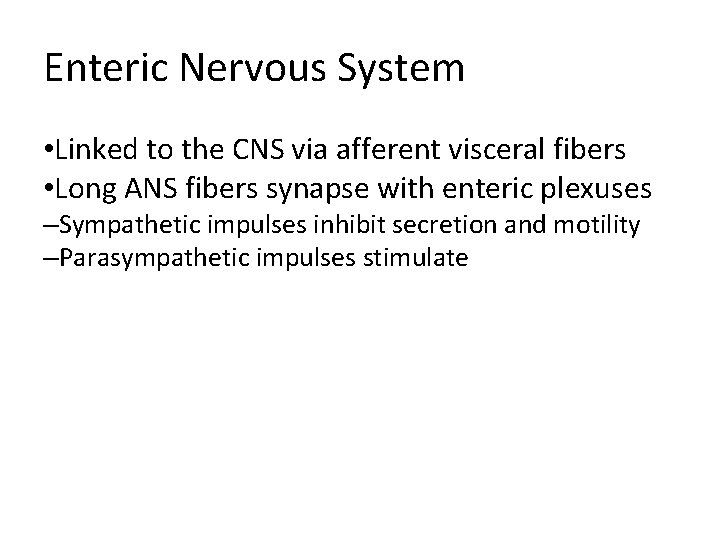 Enteric Nervous System • Linked to the CNS via afferent visceral fibers • Long Enteric Nervous System • Linked to the CNS via afferent visceral fibers • Long