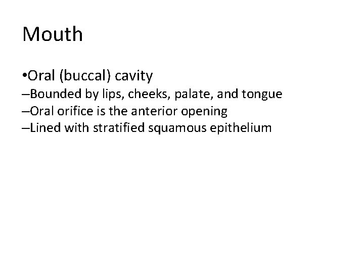 Mouth • Oral (buccal) cavity –Bounded by lips, cheeks, palate, and tongue –Oral orifice Mouth • Oral (buccal) cavity –Bounded by lips, cheeks, palate, and tongue –Oral orifice