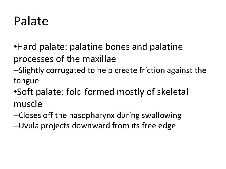 Palate • Hard palate: palatine bones and palatine processes of the maxillae –Slightly corrugated Palate • Hard palate: palatine bones and palatine processes of the maxillae –Slightly corrugated
