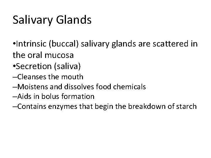 Salivary Glands • Intrinsic (buccal) salivary glands are scattered in the oral mucosa • Salivary Glands • Intrinsic (buccal) salivary glands are scattered in the oral mucosa •