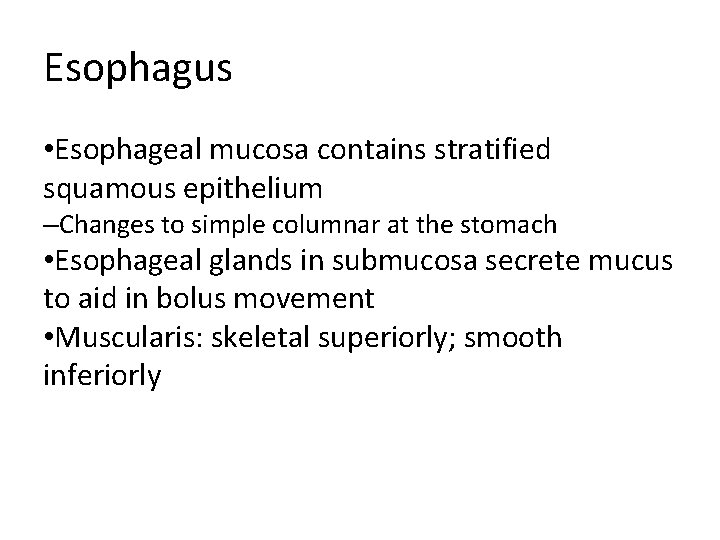 Esophagus • Esophageal mucosa contains stratified squamous epithelium –Changes to simple columnar at the Esophagus • Esophageal mucosa contains stratified squamous epithelium –Changes to simple columnar at the