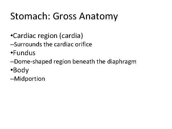 Stomach: Gross Anatomy • Cardiac region (cardia) –Surrounds the cardiac orifice • Fundus –Dome-shaped Stomach: Gross Anatomy • Cardiac region (cardia) –Surrounds the cardiac orifice • Fundus –Dome-shaped