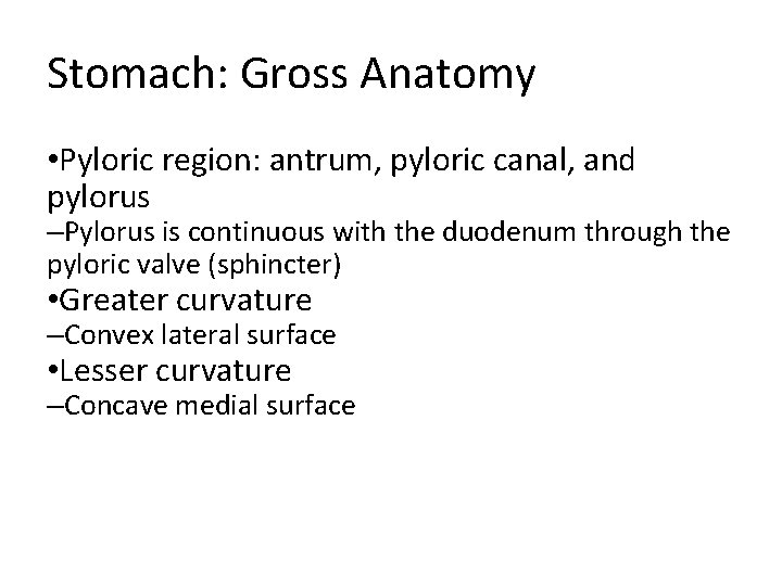Stomach: Gross Anatomy • Pyloric region: antrum, pyloric canal, and pylorus –Pylorus is continuous Stomach: Gross Anatomy • Pyloric region: antrum, pyloric canal, and pylorus –Pylorus is continuous