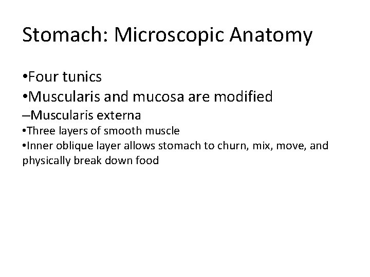 Stomach: Microscopic Anatomy • Four tunics • Muscularis and mucosa are modified –Muscularis externa Stomach: Microscopic Anatomy • Four tunics • Muscularis and mucosa are modified –Muscularis externa