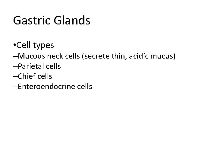 Gastric Glands • Cell types –Mucous neck cells (secrete thin, acidic mucus) –Parietal cells Gastric Glands • Cell types –Mucous neck cells (secrete thin, acidic mucus) –Parietal cells