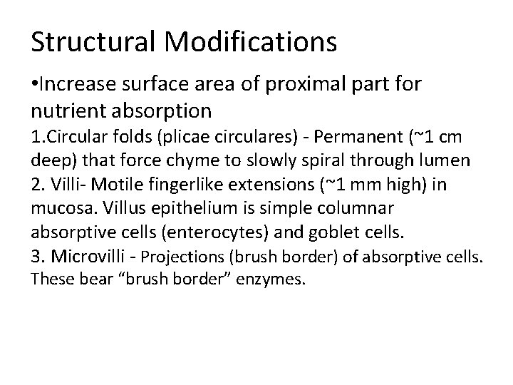 Structural Modifications • Increase surface area of proximal part for nutrient absorption 1. Circular Structural Modifications • Increase surface area of proximal part for nutrient absorption 1. Circular