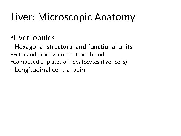 Liver: Microscopic Anatomy • Liver lobules –Hexagonal structural and functional units • Filter and Liver: Microscopic Anatomy • Liver lobules –Hexagonal structural and functional units • Filter and