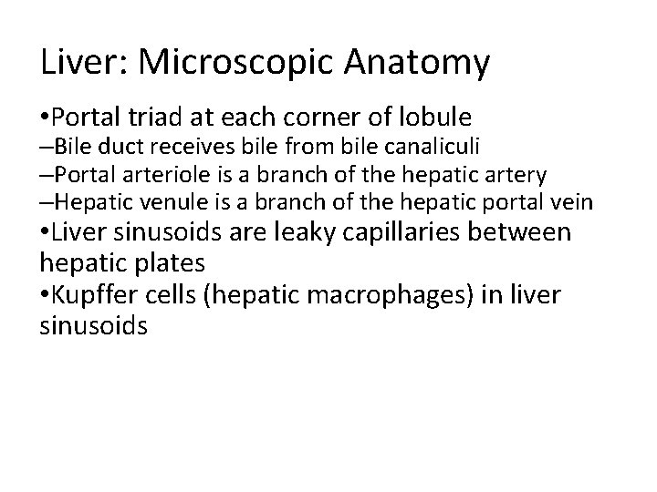 Liver: Microscopic Anatomy • Portal triad at each corner of lobule –Bile duct receives Liver: Microscopic Anatomy • Portal triad at each corner of lobule –Bile duct receives