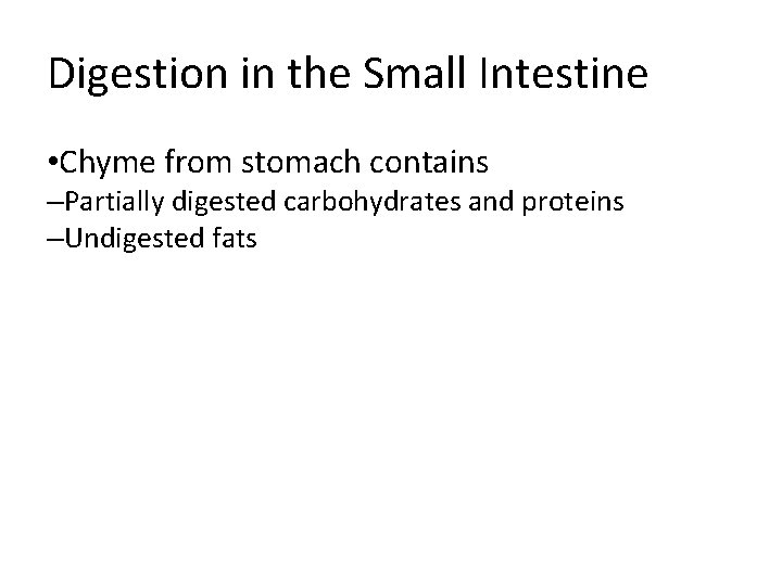 Digestion in the Small Intestine • Chyme from stomach contains –Partially digested carbohydrates and Digestion in the Small Intestine • Chyme from stomach contains –Partially digested carbohydrates and