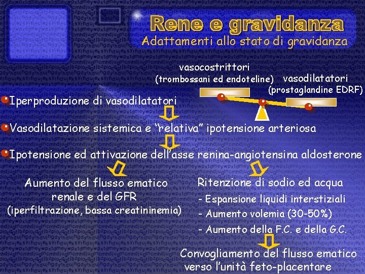 Adattamenti allo stato di gravidanza vasocostrittori (trombossani ed endoteline) vasodilatatori (prostaglandine EDRF) Iperproduzione di