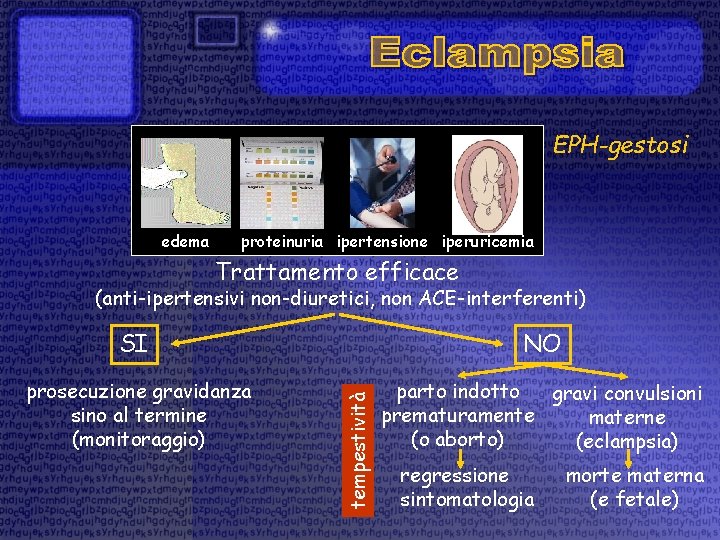 EPH-gestosi edema proteinuria ipertensione iperuricemia Trattamento efficace (anti-ipertensivi non-diuretici, non ACE-interferenti) NO prosecuzione gravidanza