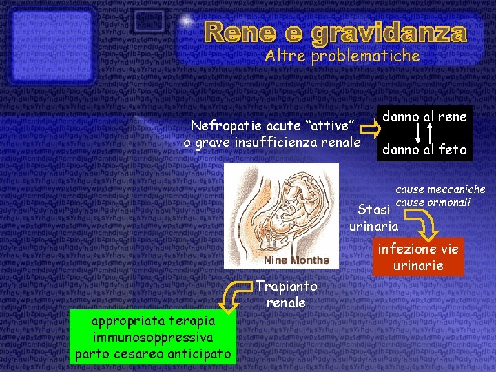 Altre problematiche Nefropatie acute “attive” o grave insufficienza renale danno al rene danno al