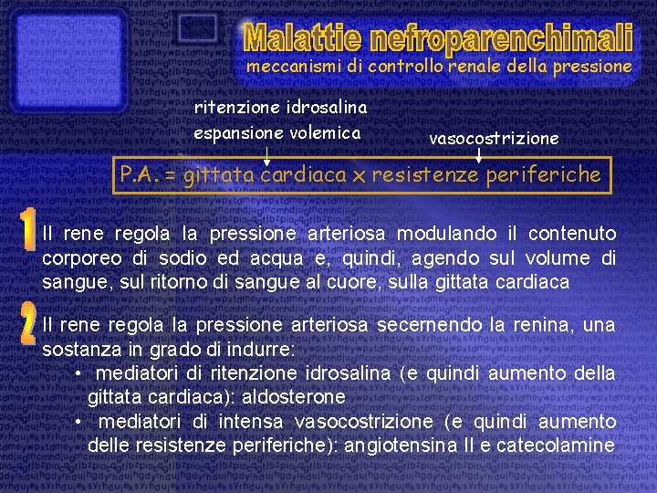 meccanismi di controllo renale della pressione ritenzione idrosalina espansione volemica vasocostrizione P. A. =