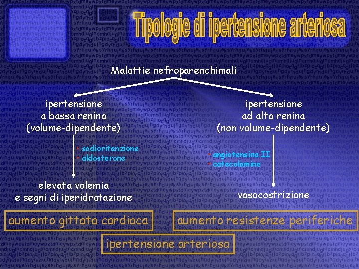 Malattie nefroparenchimali ipertensione a bassa renina (volume-dipendente) • sodioritenzione • aldosterone ipertensione ad alta