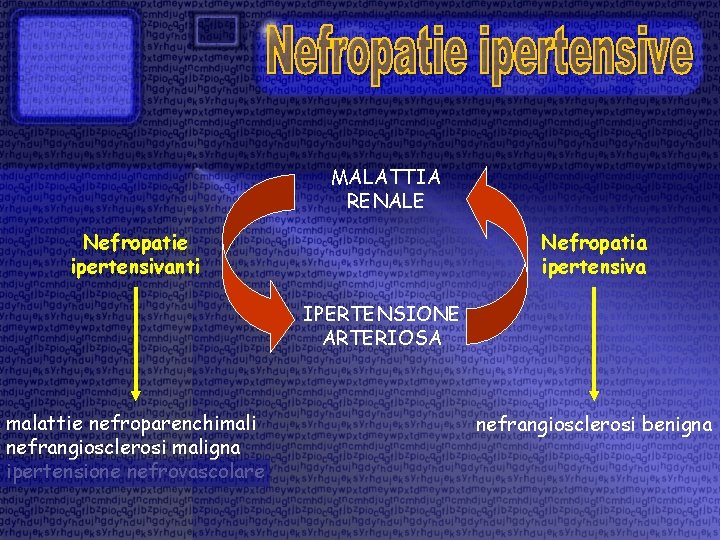 MALATTIA RENALE Nefropatie ipertensivanti Nefropatia ipertensiva IPERTENSIONE ARTERIOSA malattie nefroparenchimali nefrangiosclerosi maligna ipertensione nefrovascolare