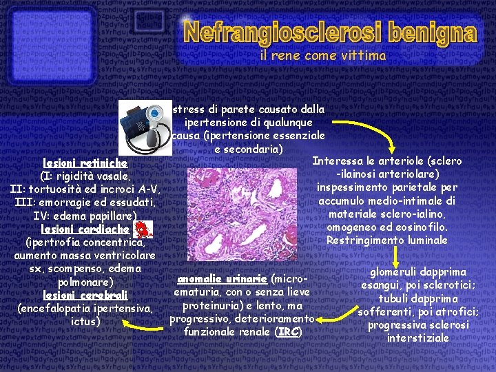 il rene come vittima stress di parete causato dalla ipertensione di qualunque causa (ipertensione