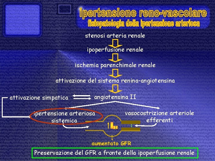 stenosi arteria renale ipoperfusione renale ischemia parenchimale renale attivazione del sistema renina-angiotensina attivazione simpatica