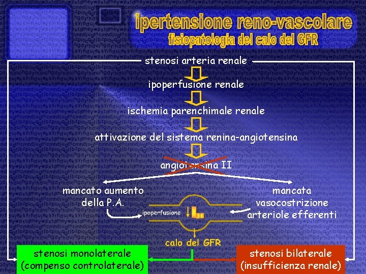 stenosi arteria renale ipoperfusione renale ischemia parenchimale renale attivazione del sistema renina-angiotensina II mancato