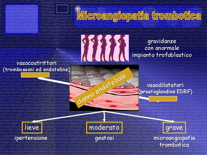 gravidanze con anormale impianto trofoblastico vasocostrittori (trombossani ed endoteline) le a i l e