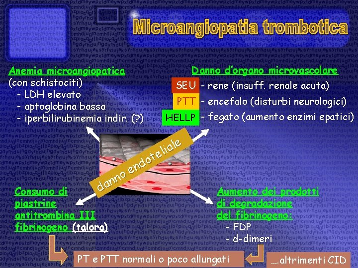 Anemia microangiopatica (con schistociti) - LDH elevato - aptoglobina bassa - iperbilirubinemia indir. (?