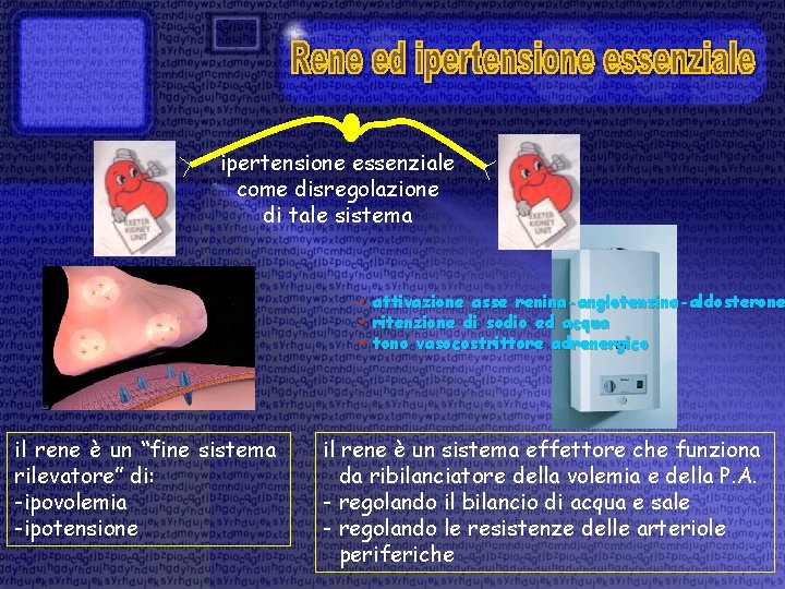 ipertensione essenziale come disregolazione di tale sistema • attivazione asse renina-angiotensina-aldosterone • ritenzione di