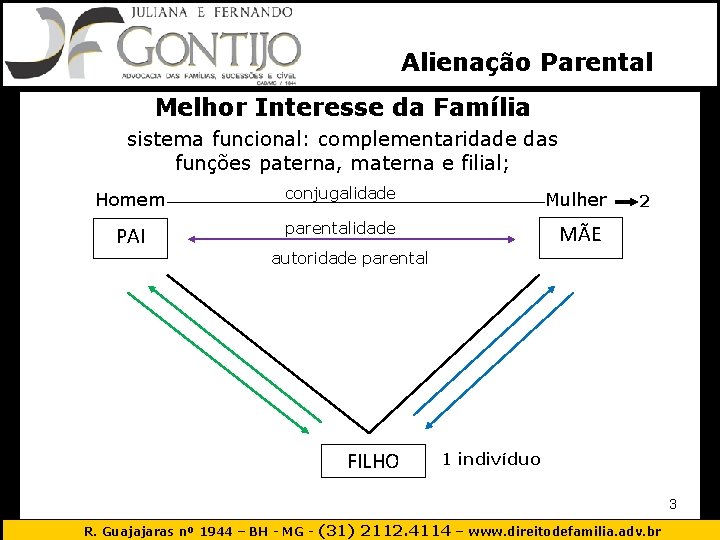 Alienação Parental Melhor Interesse da Família sistema funcional: complementaridade das funções paterna, materna e