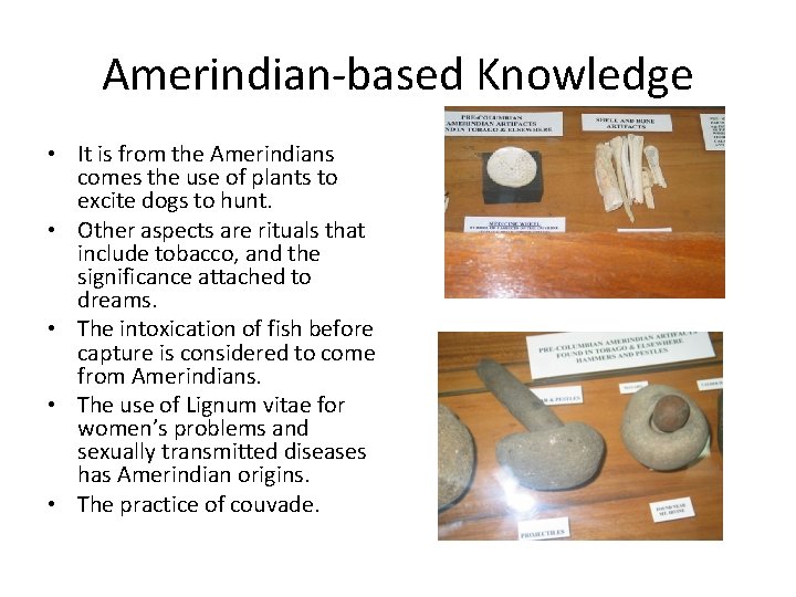 Amerindian-based Knowledge • It is from the Amerindians comes the use of plants to