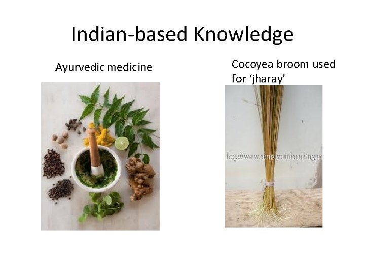 Indian-based Knowledge Ayurvedic medicine Cocoyea broom used for ‘jharay’ 