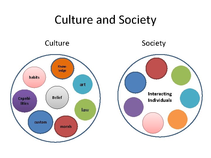 Culture and Society Culture Society Knowledge habits art Interacting Individuals Belief Capabilities law custom